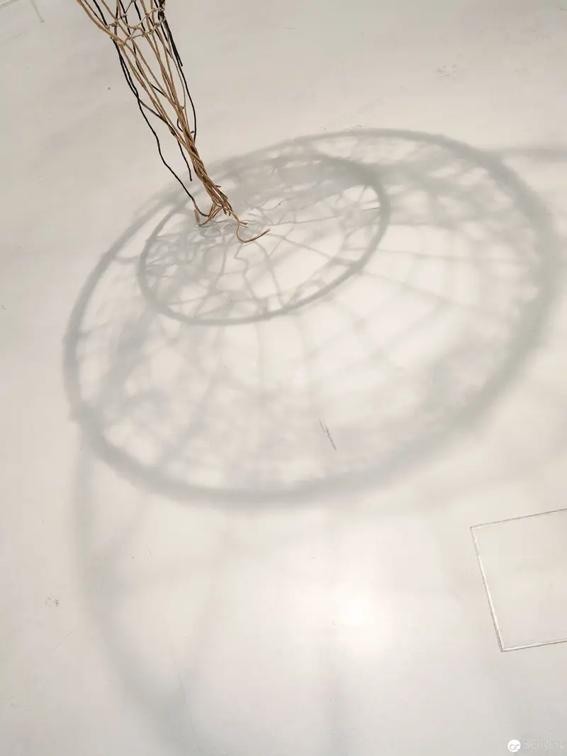 Ethereal Shadow Projection: Intricate Wire Structure and Circular Shadow Geometry