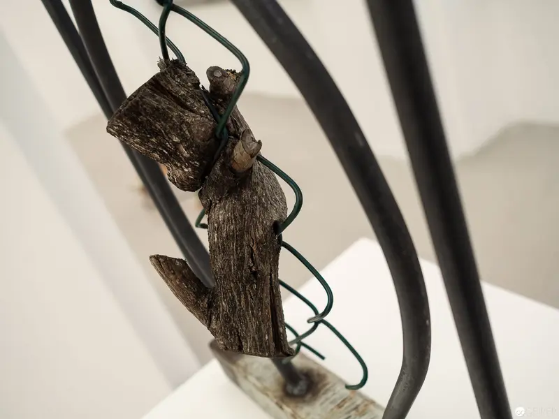Weathered Wood Fragment Intertwined with Curved Metal Wire