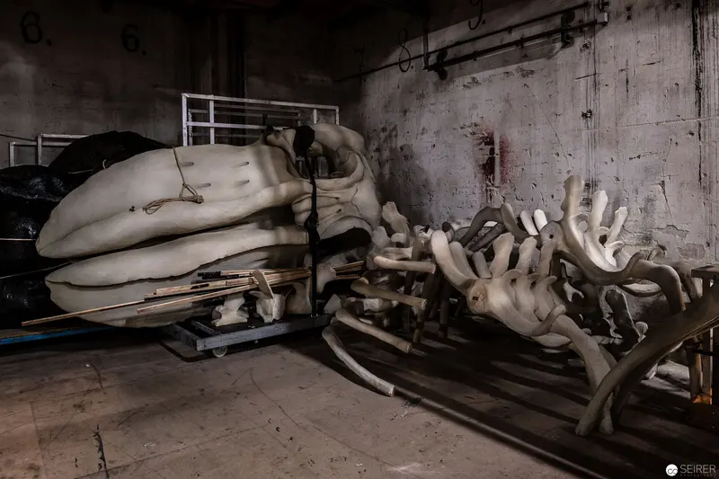 Fragmented Anatomical Forms in Industrial Storage Space