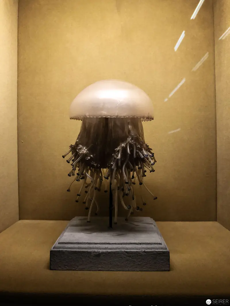Translucent Jellyfish Sculpture on Pedestal with Dangling Metallic Elements