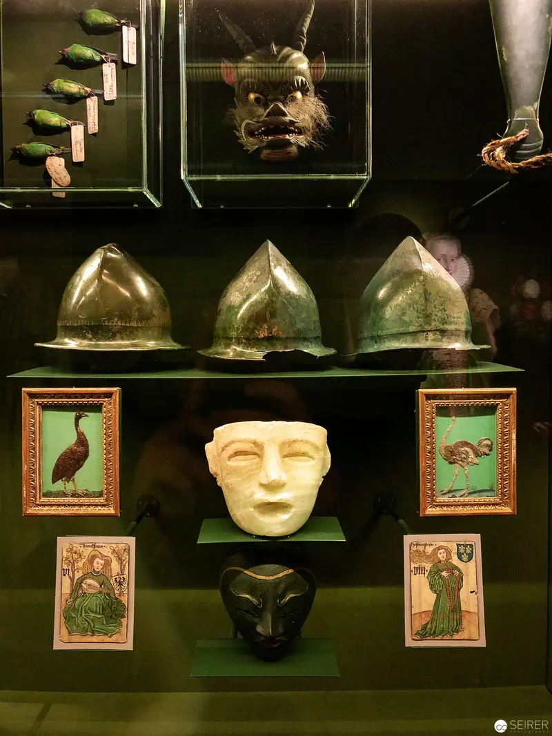 Museum Display of Medieval Helmets, Masks, and Ornithological Illustrations