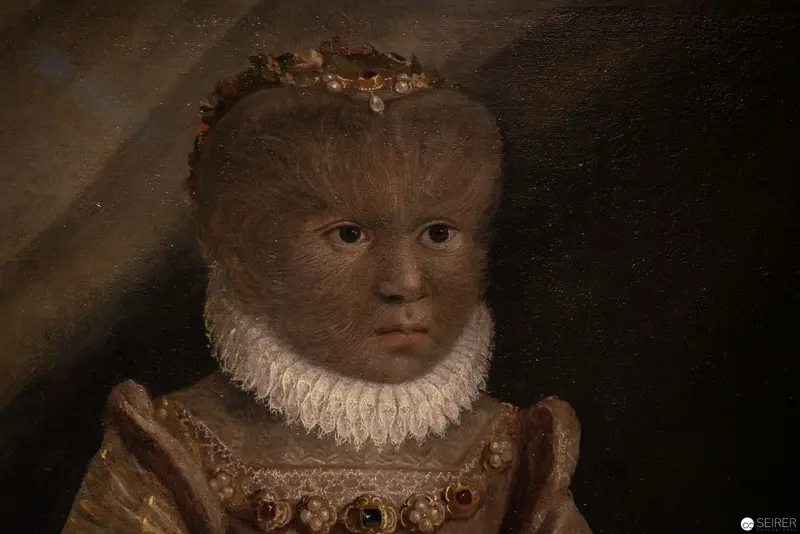 Renaissance Portrait of a Young Noble with Fur and Ornate Ruff Collar