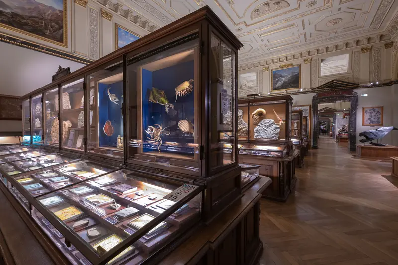Naturhistorisches Museum Vienna: Ornate Exhibition Hall with Illuminated Scientific Display Cases