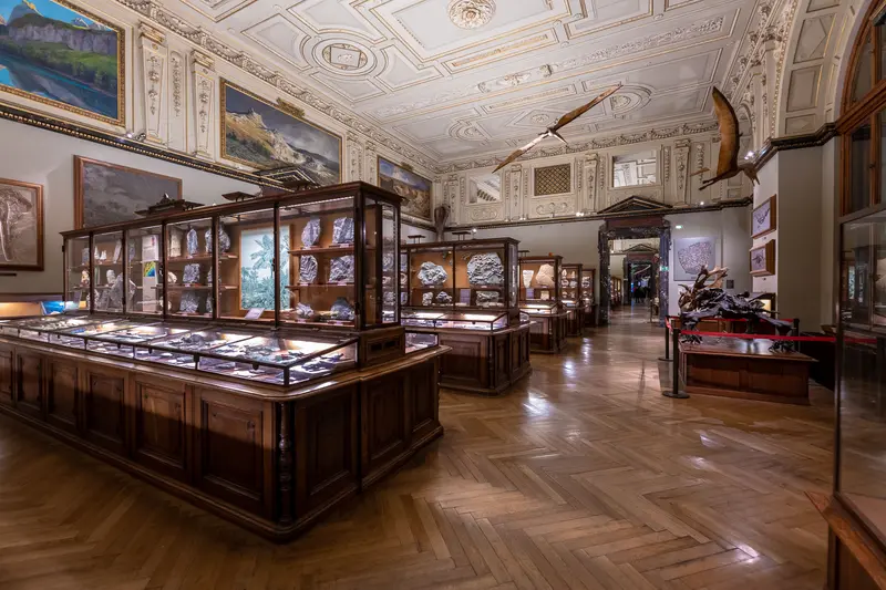 Ornate Interior of Natural History and Ephesos Museum Display Hall