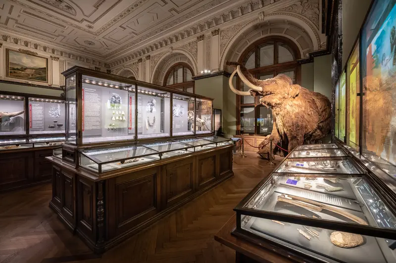 Naturhistorisches Museum Wien: Prehistoric Mammoth Display in Ornate Exhibition Hall