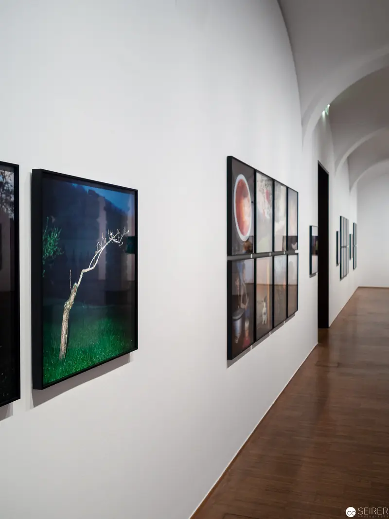 Gallery Interior with Photographic Exhibition and Arched Hallway