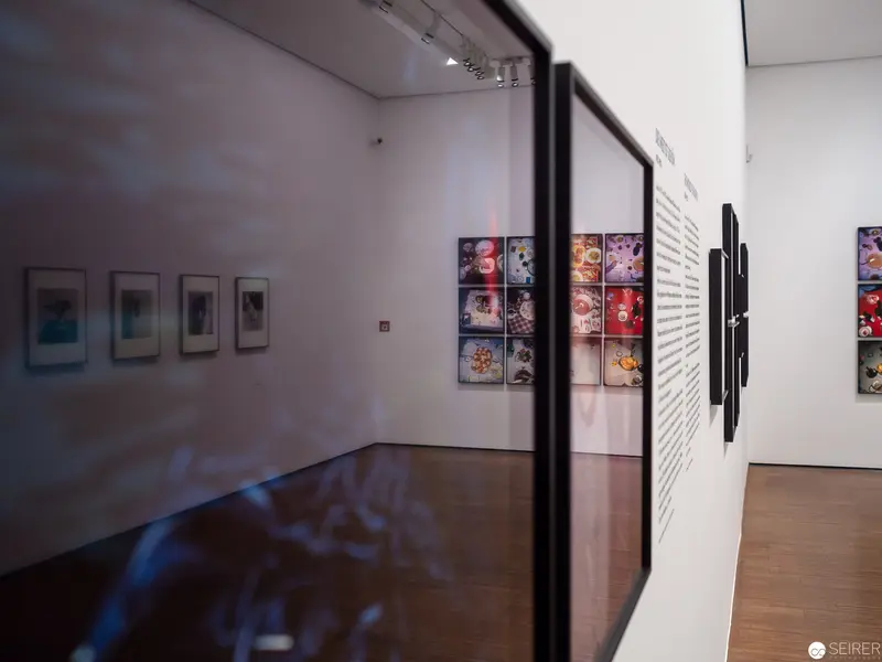 Gallery Interior with Curated Photographic Displays and Reflective Surfaces