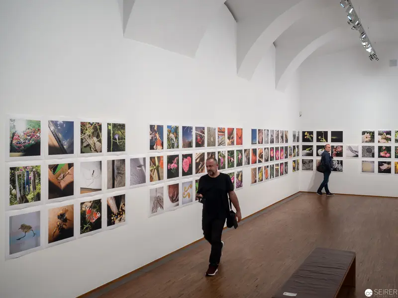 Gallery Visitors Examining Diverse Photographic Exhibition in Curved White Space