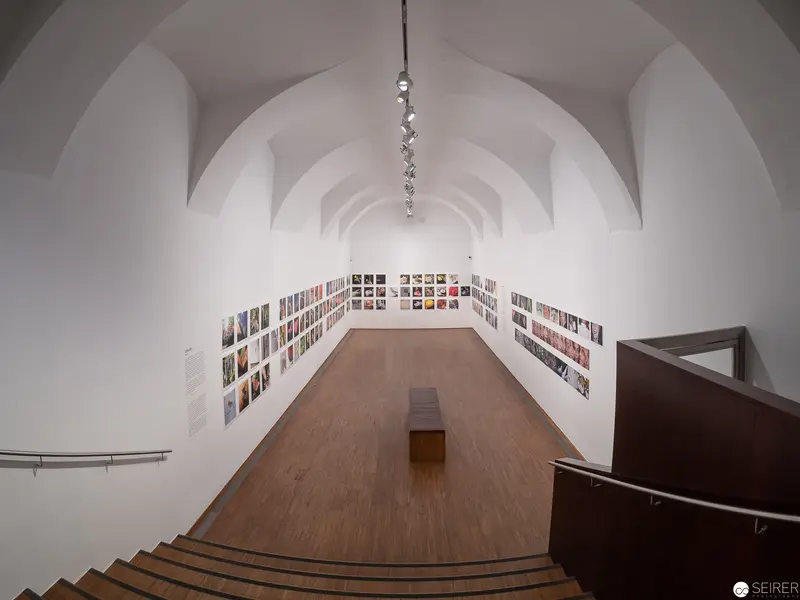 Panoramic Gallery View with Arched Ceiling and Photographic Exhibition