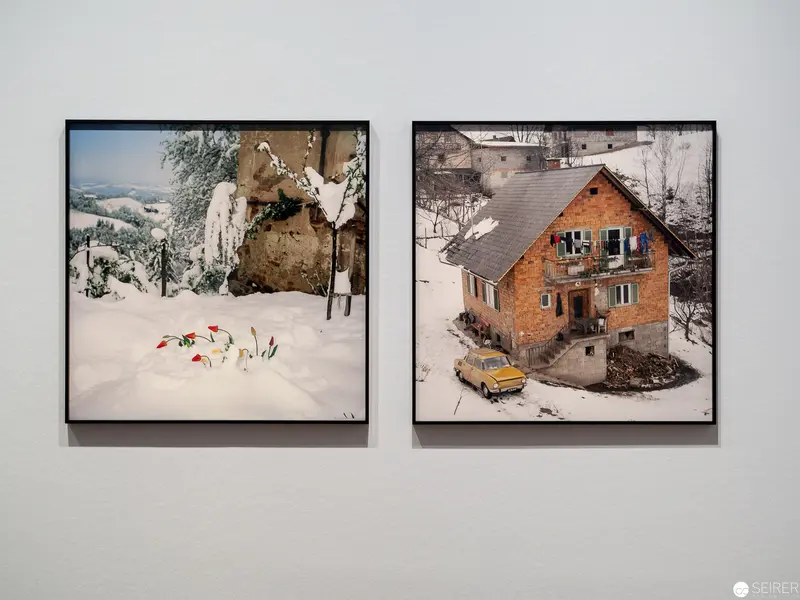Winter Landscape Diptych: Snowscapes and Solitary House in Rural Setting