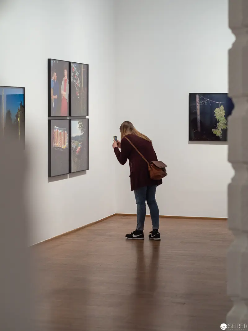 Solitary Observer in Gallery Space Examining Multipart Photographic Installation