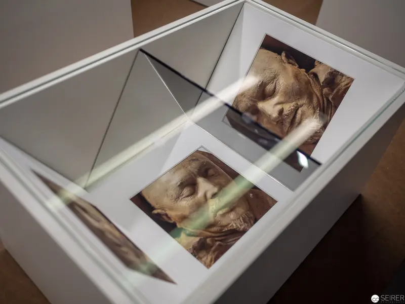 Contemplative Portrait Series: Fragmented Visages in Reflective Display Case