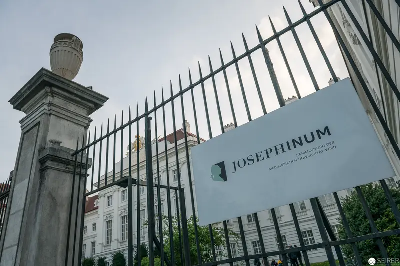 Josephinum Medical Museum, Vienna, April 2019