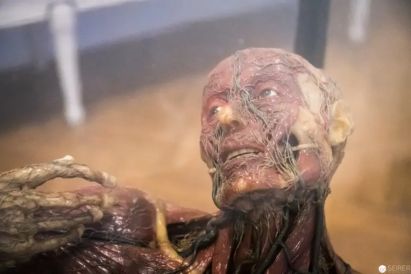 Grotesque Biomechanical Figure in Distressed Organic Transformation