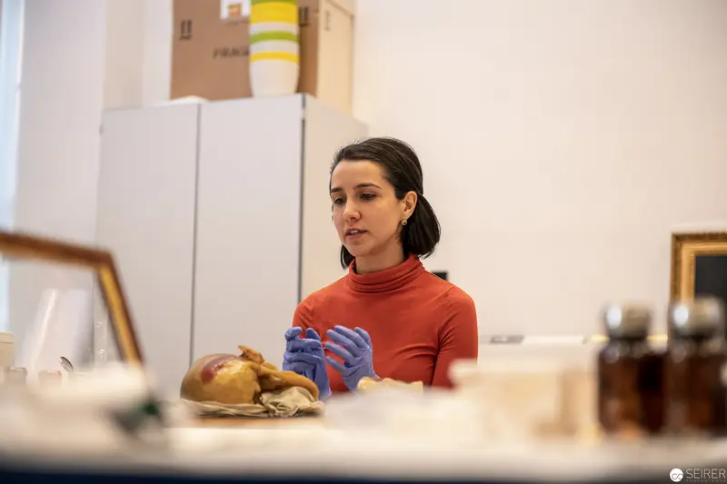 Conservation Specialist in Red Sweater Examining Artifact with Blue Gloves