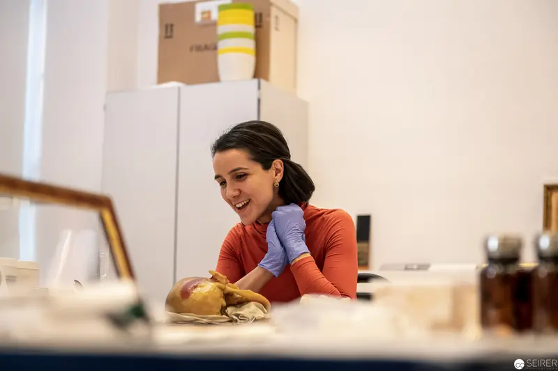 Laboratory Researcher Carefully Handles Specimen with Focused Concentration