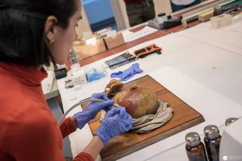 Laboratory Specimen Preparation with Gloved Hands on Wooden Surface