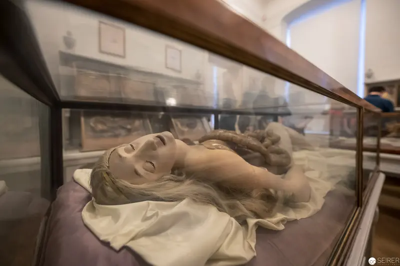 Marble Sculpture of Reclining Female Figure in Museum Display Case