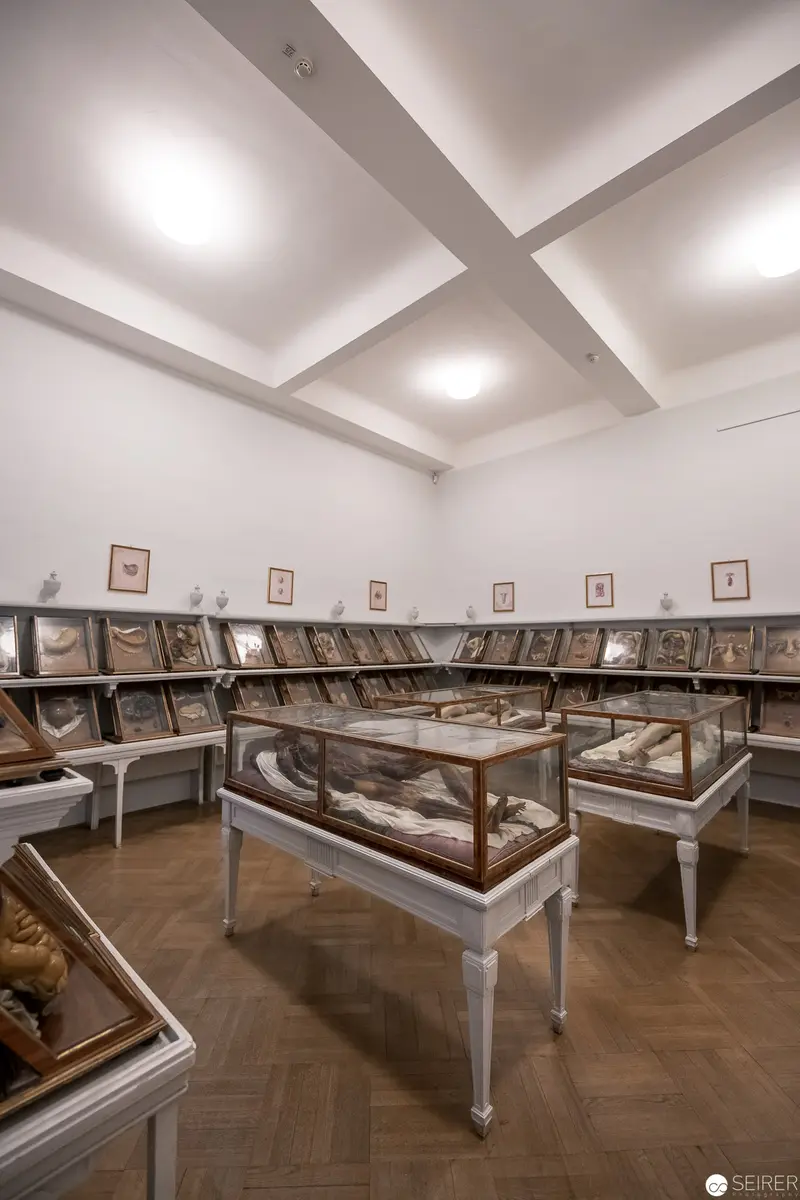 Museum Display of Framed Artifacts in Systematic Archival Storage Arrangement