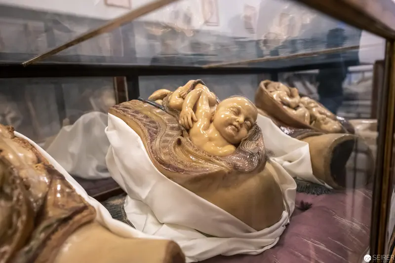 Wax Sculpture of Swaddled Infant in Museum Display Case