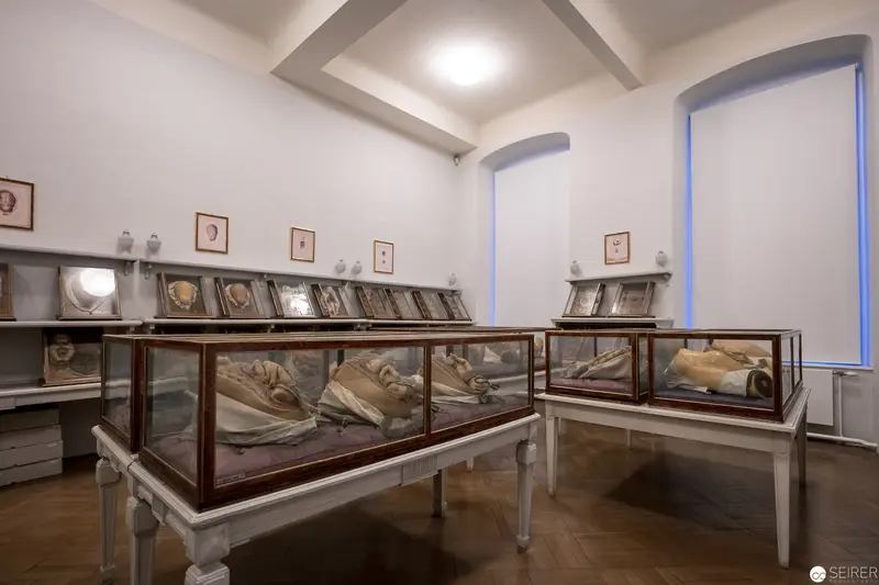 Museum Display of Historical Anatomical Specimens in Glass Cases