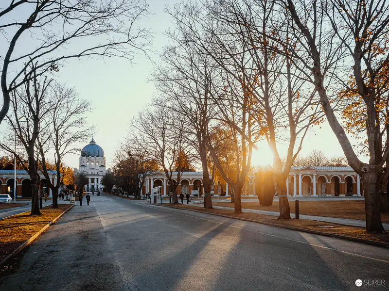 Golden Hour Streetscape with Baroque Architecture and Bare Winter Trees