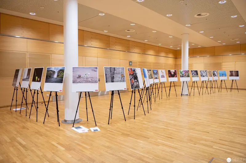 Photographic Exhibition in Modern Gallery Space with Mounted Images on Display Stands
