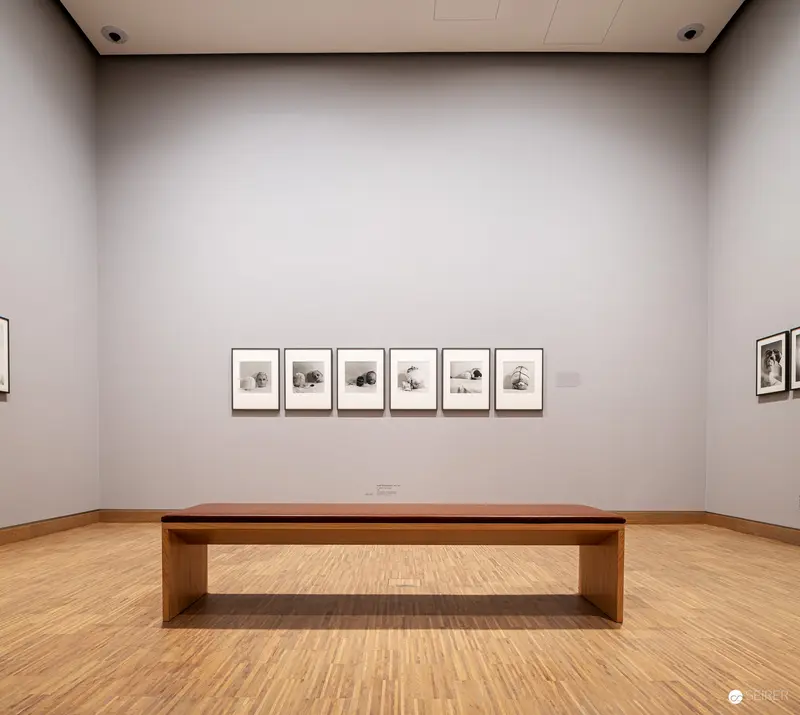 Albertina Modern Exhibition View: Minimalist Gallery Space with Framed Photographic Series