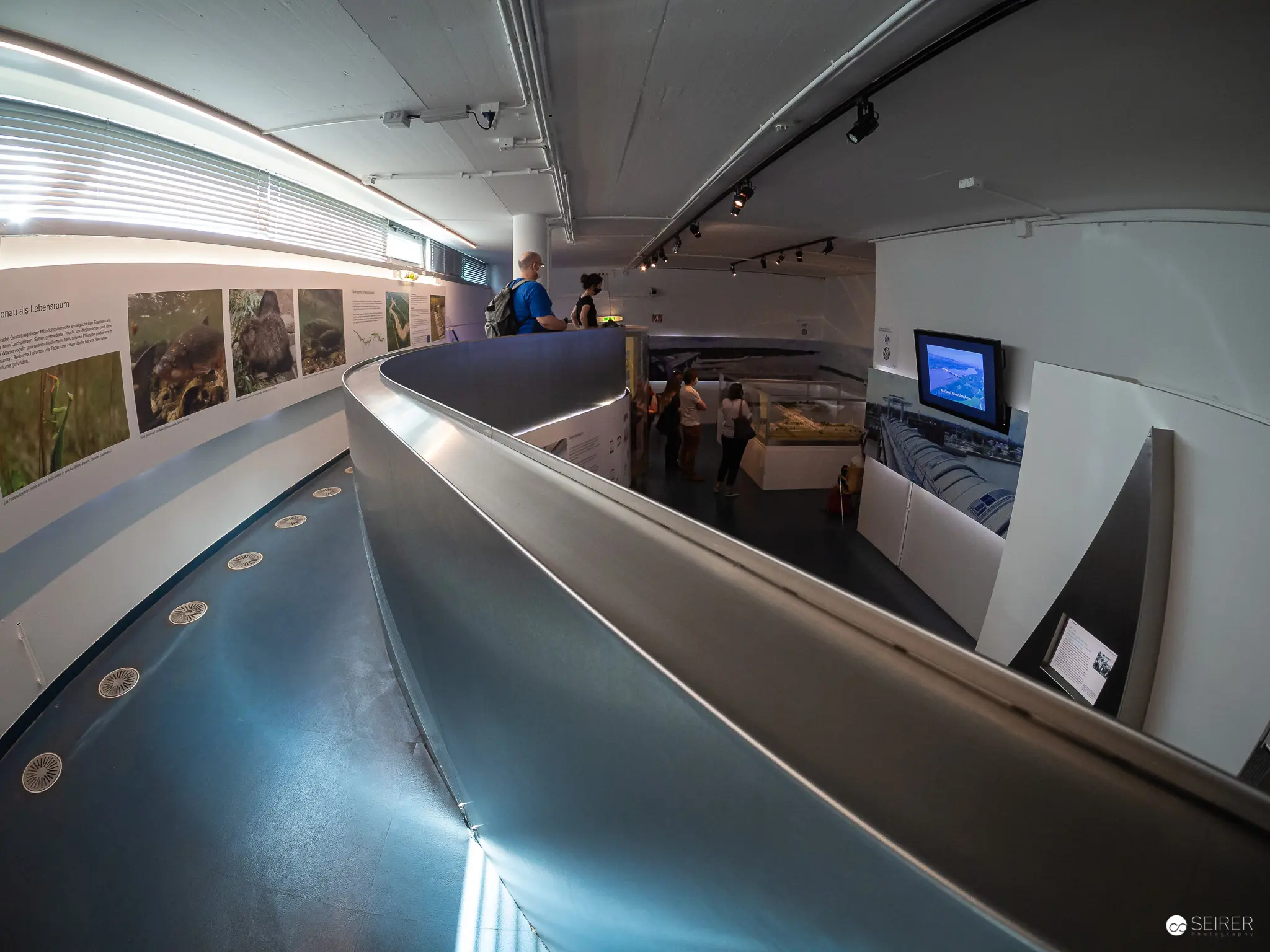Museum Exhibition Interior with Curved Display and Multimedia Presentation