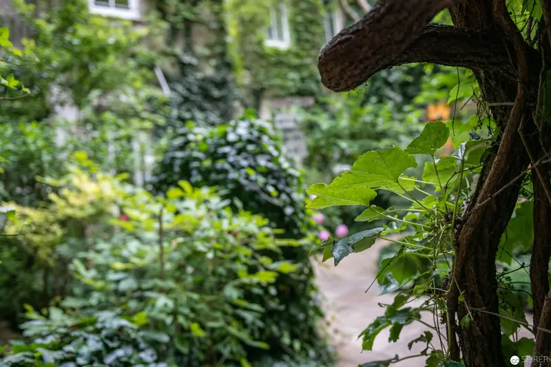 Green Urban Sanctuary: Verdant Foliage and Architectural Backdrop at Stadthalle Wien