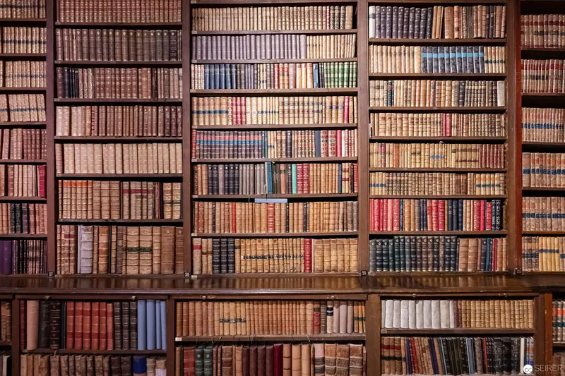 Leather-Bound Volumes Arranged on Wooden Shelves in Extensive Library Collection