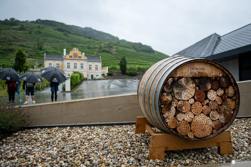 Rainy Day Behind the Scenes at Domäne Wachau Winery Vineyard Tour