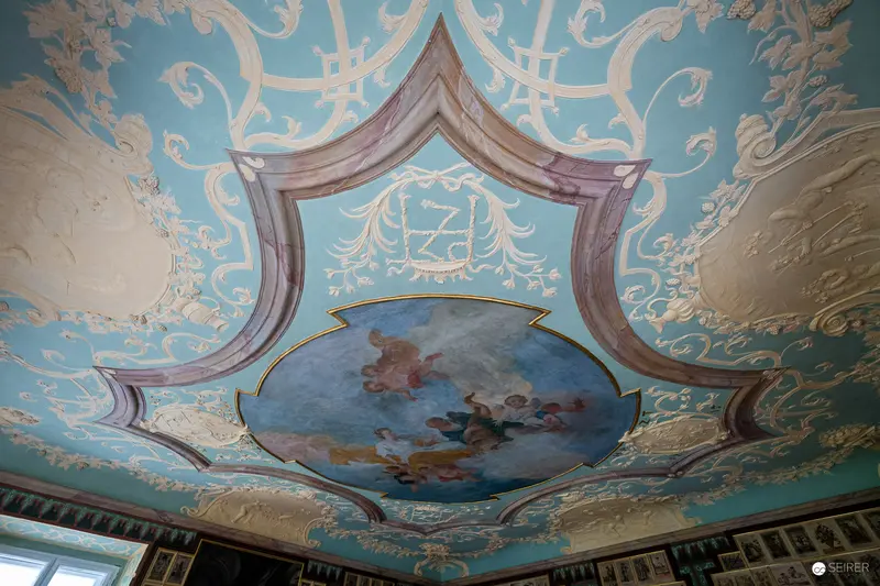 Baroque Ceiling Fresco with Ornate Rococo Plasterwork and Mythological Scene