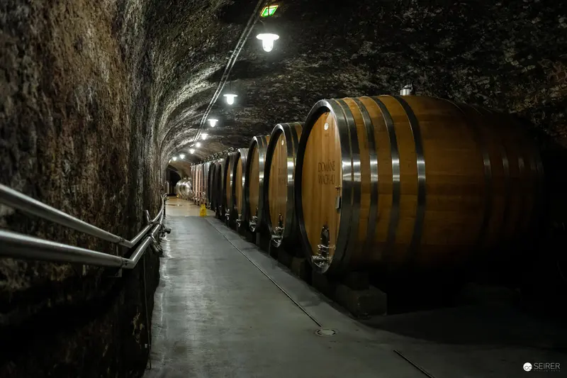Domäne Wachau Winery Behind the Scenes, July 2020