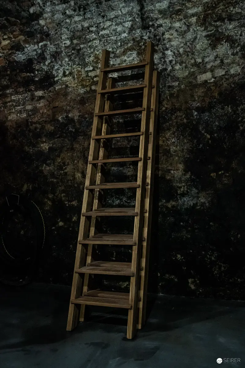 Weathered Wooden Ladder Against Textured Stone Wall in Monochromatic Tones