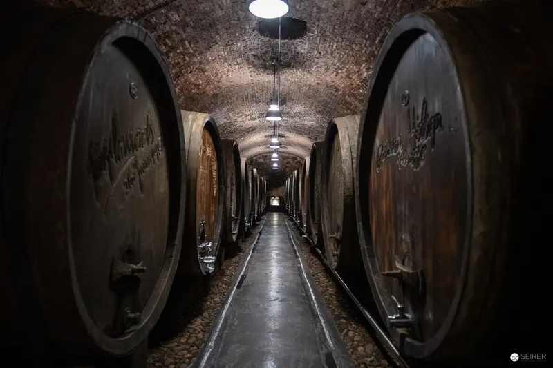 Domäne Wachau Winery Barrel Cellar: Symmetrical Architectural Interior with Aged Oak Vessels