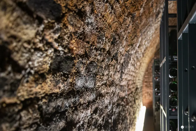 Textural Microcosm of Aged Bark During Domäne Wachau Winery Behind-the-Scenes Tour