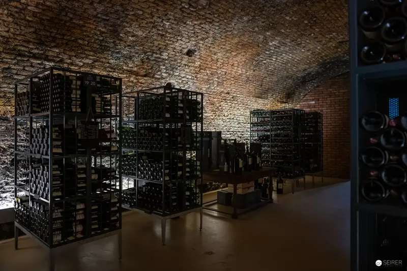 Behind-the-Scenes Wine Cellar at Domäne Wachau: Architectural Wine Storage Landscape