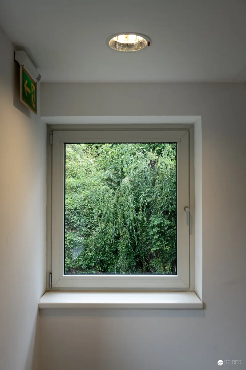 Interior Window Framing Dense Verdant Exterior Foliage with Minimalist Architecture