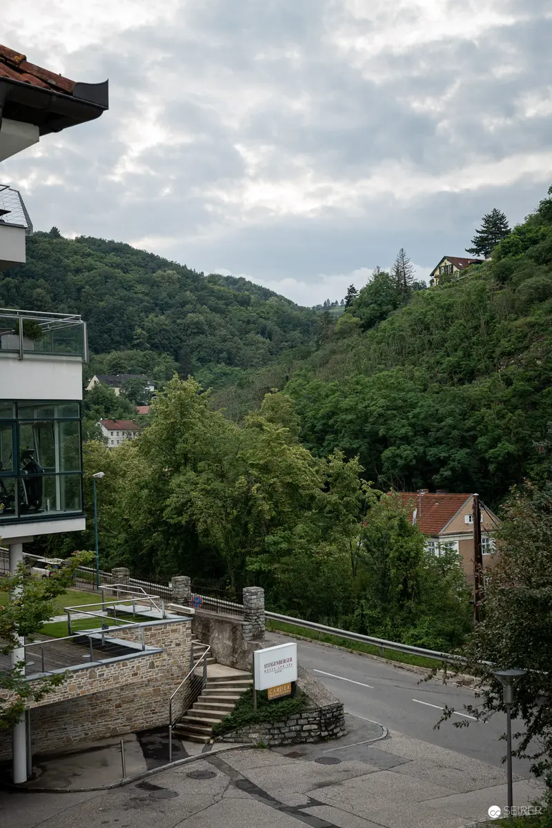 Suburban Landscape with Architectural Stairway and Forested Hillside