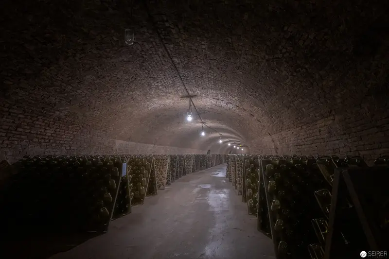 Underground Wine Cellar Tunnel with Illuminated Brick Archway and Stored Bottles