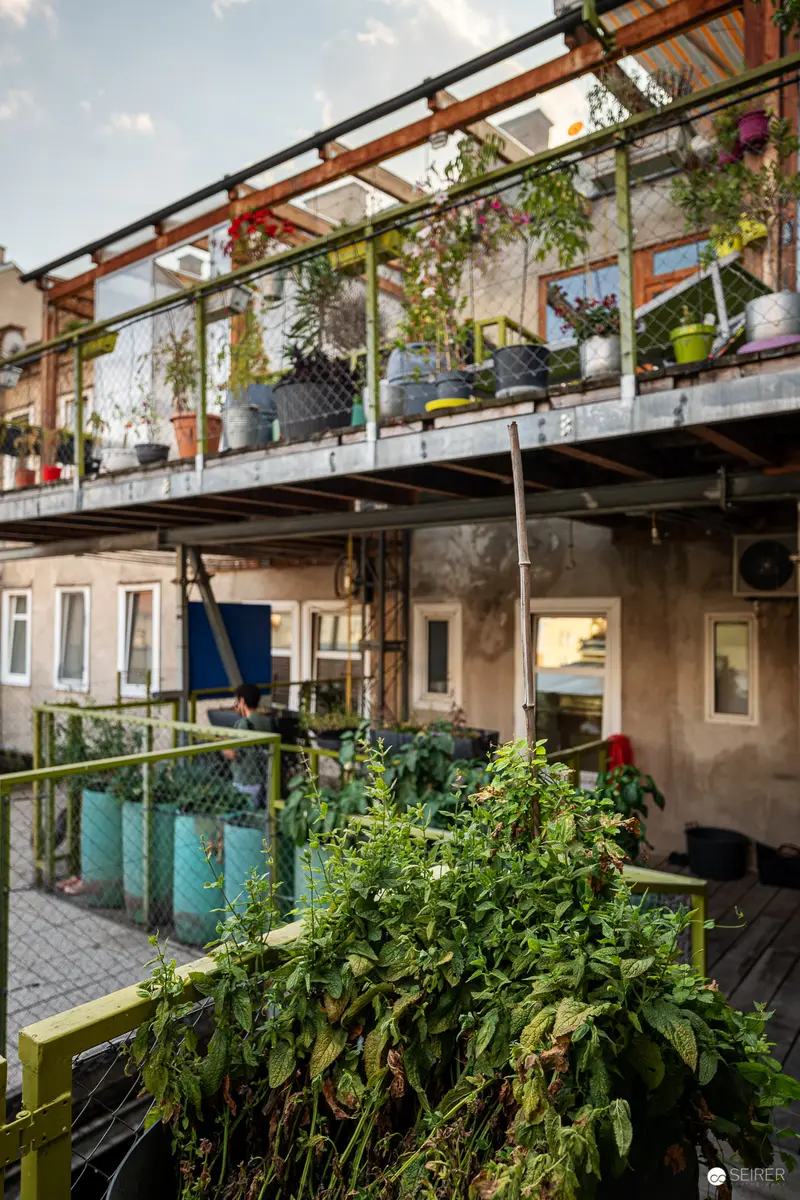 Urban Balcony Garden with Suspended Metal Walkway and Lush Greenery