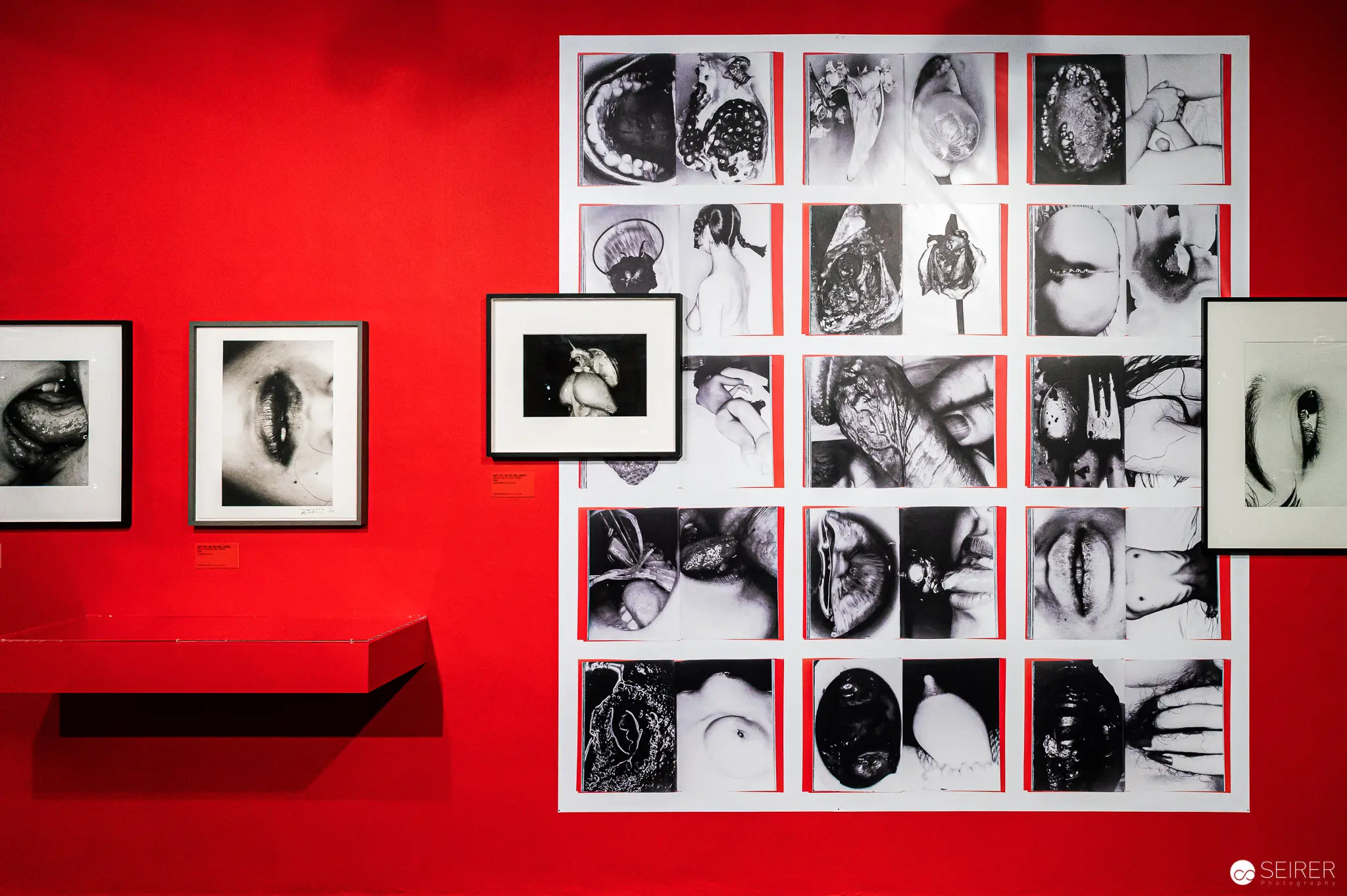 Araki's Intimate Black and White Photographic Grid on Red Wall