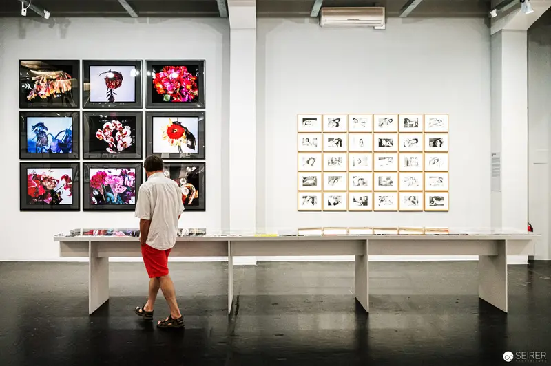 Visitor Contemplates Photographic Displays at Contemporary Art Exhibition