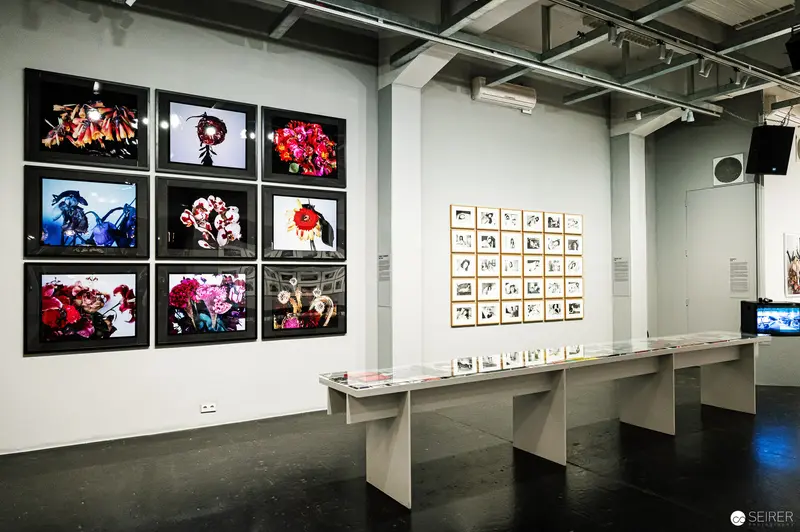Araki Exhibition at Westlicht: Vibrant Photographic Displays and Gridded Artwork