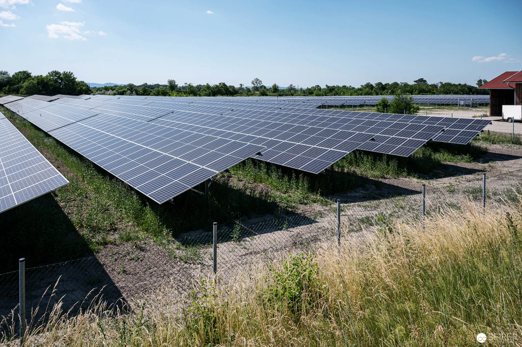 Solar Panel Array Amid Rural Landscape with Grassy Perimeter