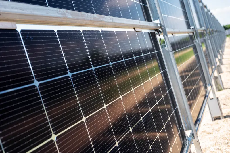 Angled Solar Panels in Ground-Mounted Photovoltaic Array Installation