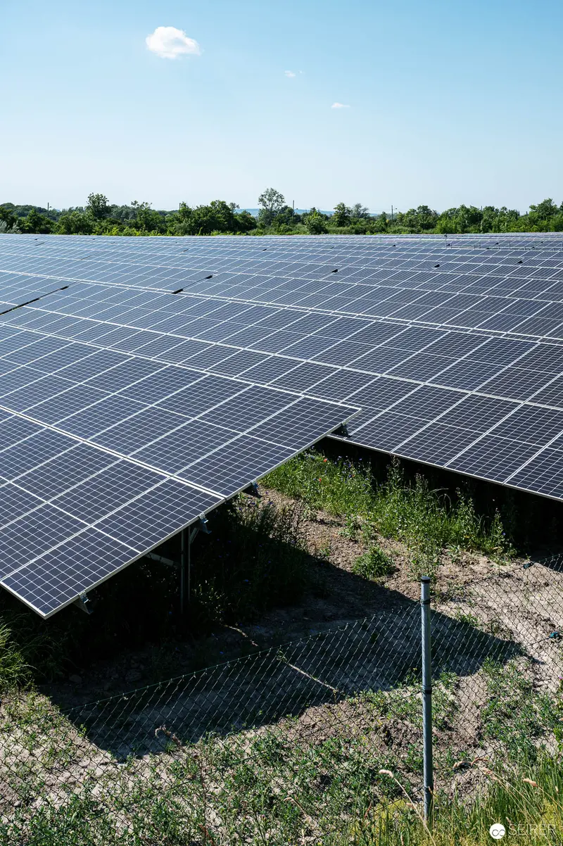 Solar Panel Array in Rural Landscape with Trees and Sky