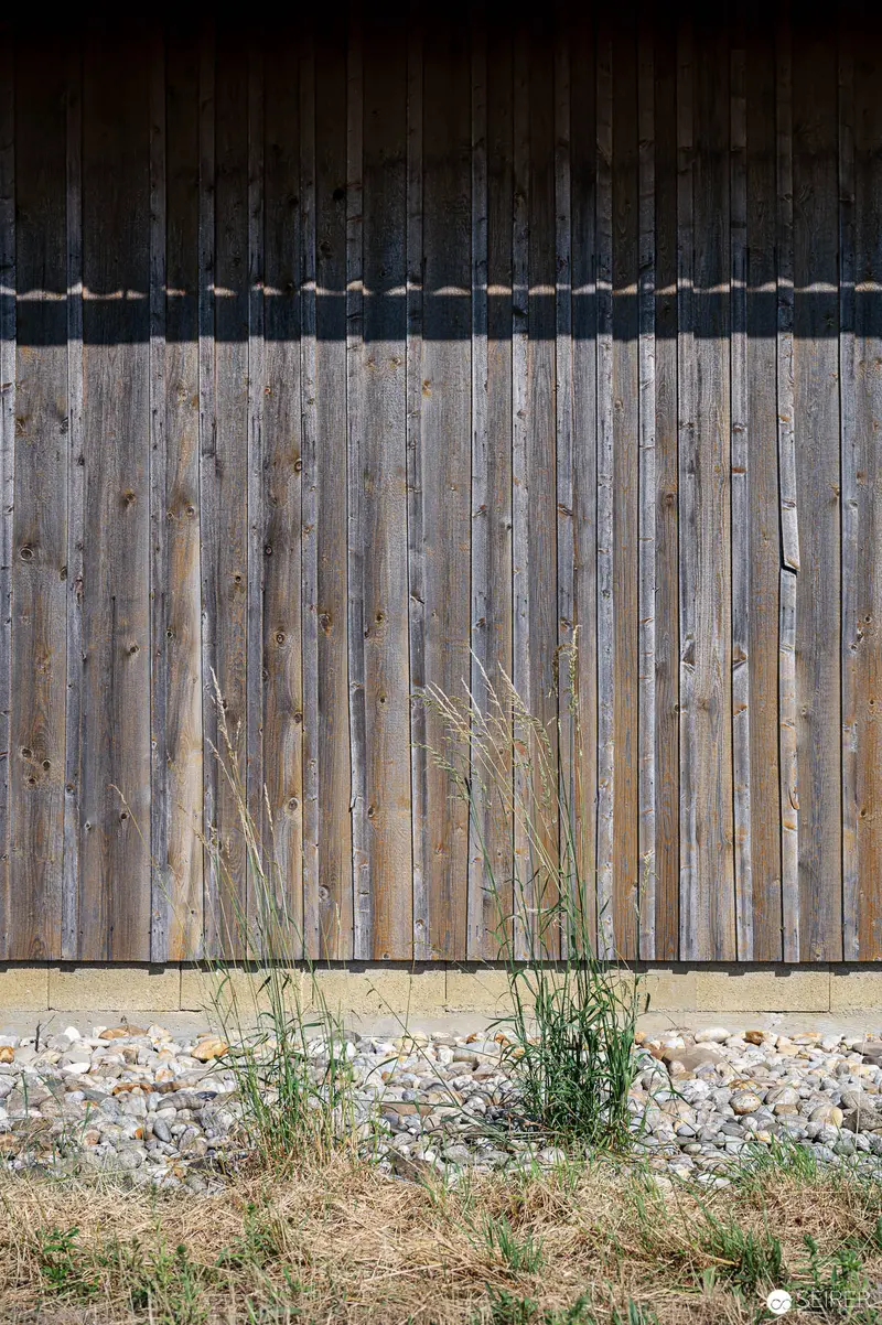 Weathered Wooden Wall with Stone Base and Emerging Grass Vegetation