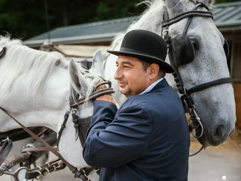 Horse-Drawn Elegance at Vienna's "Riding Dinner" Event